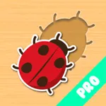 Fun Insect Shape Blocks Puzzle icon