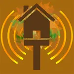 The Treehouse Radio Player icon