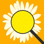 Daiscover icon