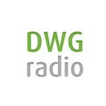 DWG Radio CZ icon