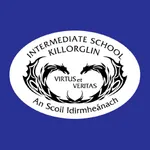 The Intermediate school icon