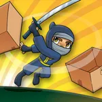 Box Ninja GO! icon