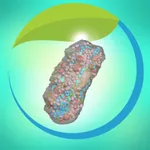 3D Plant Cell Organelles in VR icon