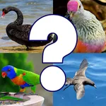Bird Quiz - Birds of Australia icon