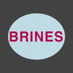 Brines icon