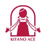 北野エース icon