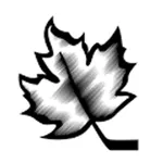 CSSHL icon