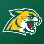 Northern Michigan Wildcats icon