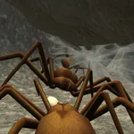 Spider Colony Simulator icon