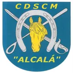 cdscmetalcalai icon