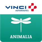 ANIMALIA by VINCI Autoroutes icon