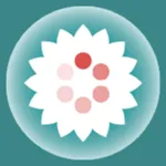 LOIS Safety App icon