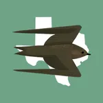 Texas Birds Sticker Pack icon