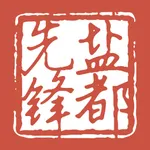 盐都先锋 icon