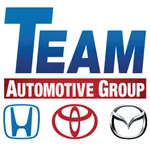 Team Auto Care icon