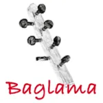 Baglama Tuner - Bağlama icon