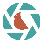 Sparkbird icon