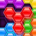 Hexa Blocks Match Puzzle icon