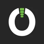 PayOn icon