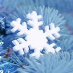 Advent Calendar 24in1 icon