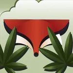 GrassFox icon