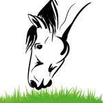 Equine Nutrition Calculator icon