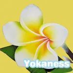 リンパドレナージュサロン　Yokaness　公式アプリ icon