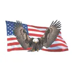 Eagle Radio Group icon