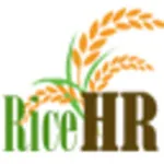 RiceHR ESS icon