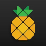 Pineapple - Website Builder icon