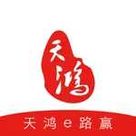 天鸿e路赢 icon