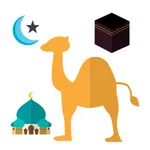 Ziyarat Hajj & Umrah icon