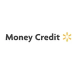 Money Credit icon