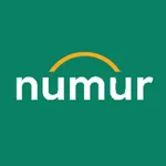 Numur icon