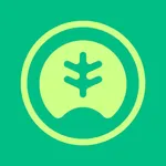 Moeda Verde icon