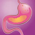 Gastroenterology Terms Quiz icon