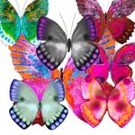 Haulwen Butterflies icon