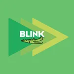 BLINK 102 icon