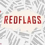 Red Flags - Accounting Fraud icon