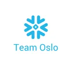 Team Oslo icon