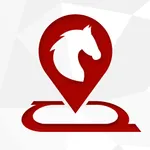 Racing GPS icon