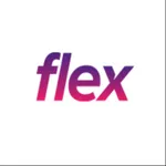 Flex Parking icon