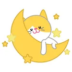 Story of a cute baby cat icon