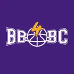 Buzzer Beater icon