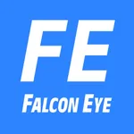 FE DVR icon