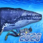 Diving Simulator 2020 icon