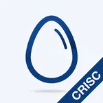 CRISC Practice Test icon