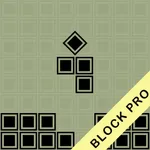 Block Puzzle - Pro icon