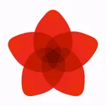 Memento - Journal & Meditation icon