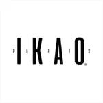 IKAO icon